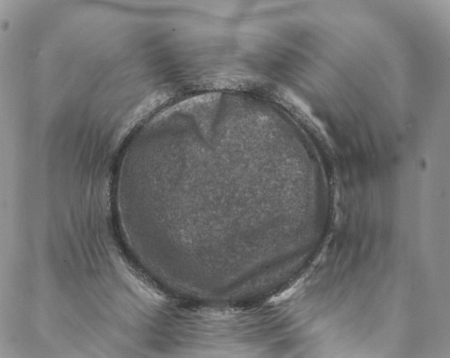 X0000088400250200706121242