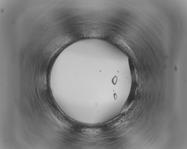 X0000088400251200706121242