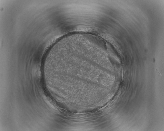 X0000088400252200706121242