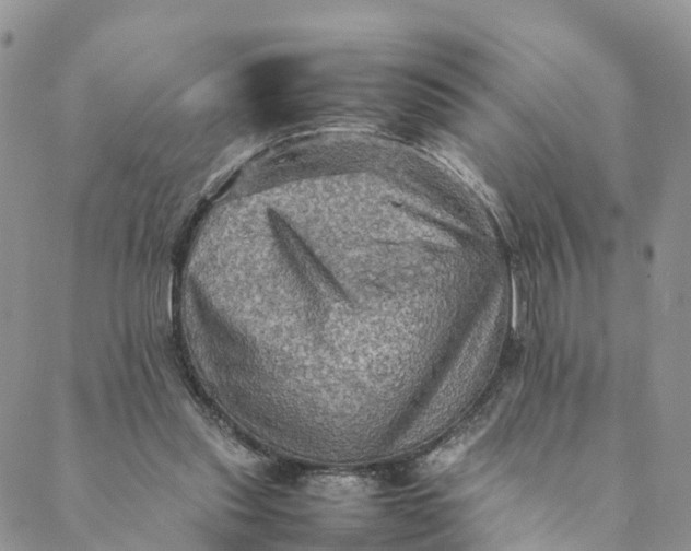 X0000088400253200706121242