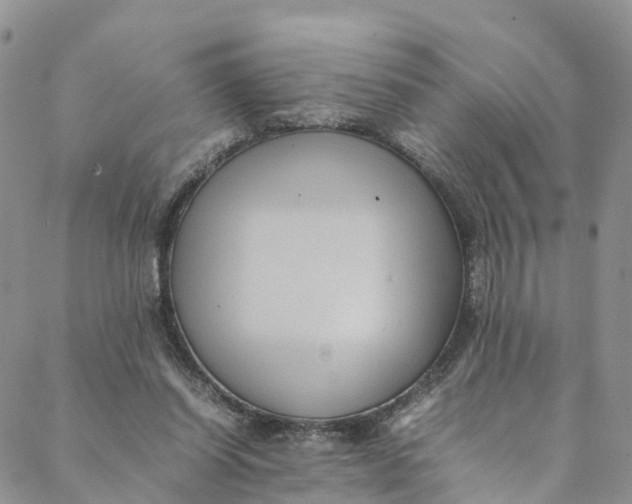 X0000088400254200706121242