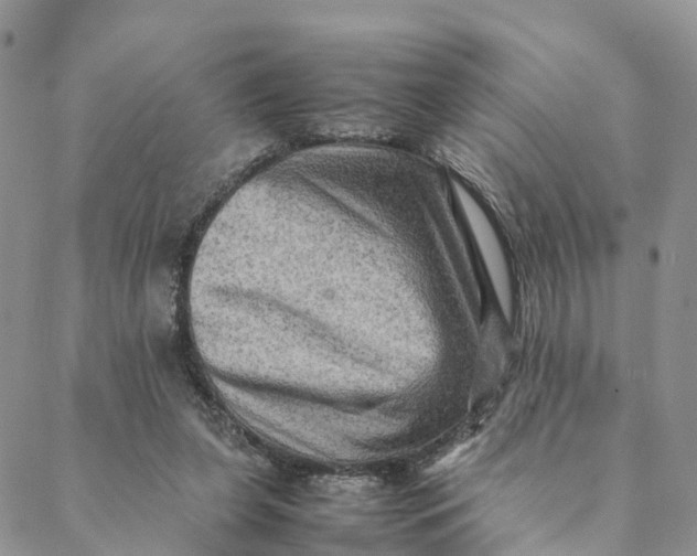 X0000088400255200706121242