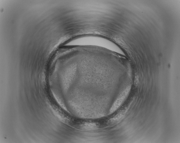 X0000088400256200706121242