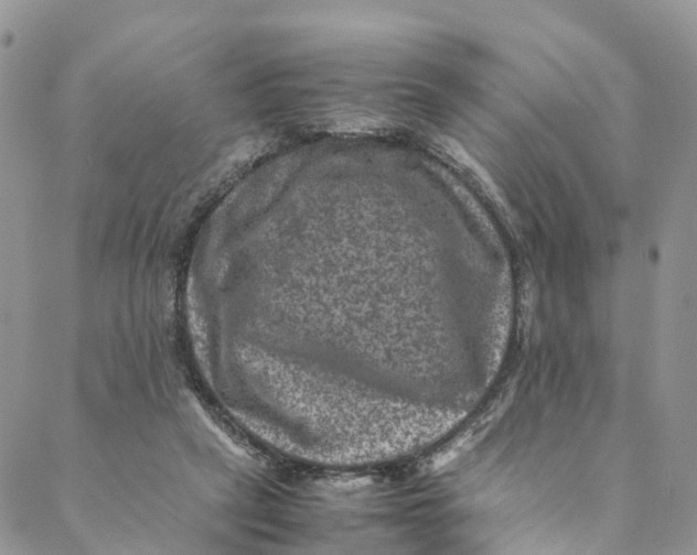 X0000088400257200706121242