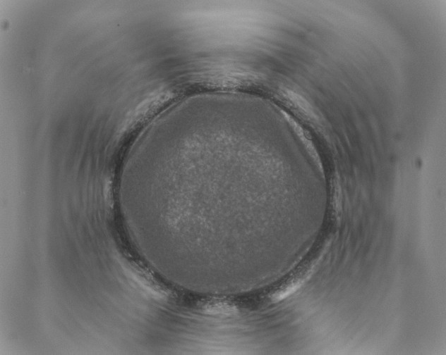 X0000088400258200706121242