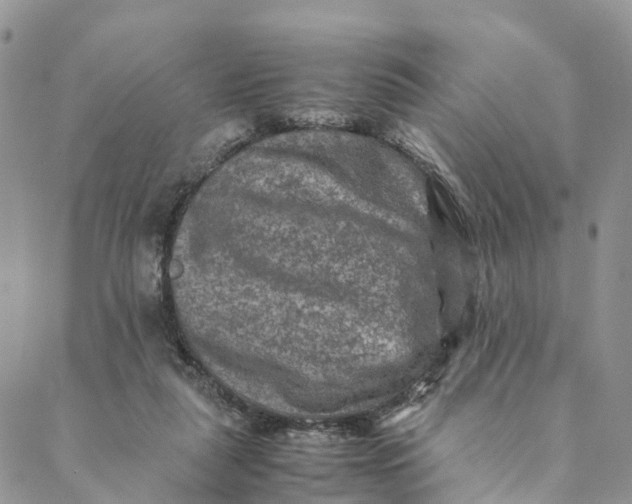 X0000088400259200706121242