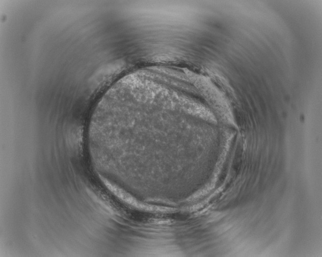 X0000088400260200706121242