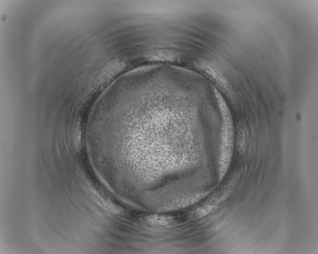 X0000088400261200706121242