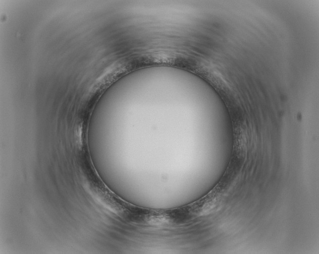 X0000088400262200706121242