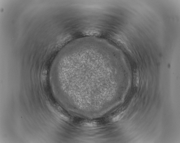 X0000088400263200706121242