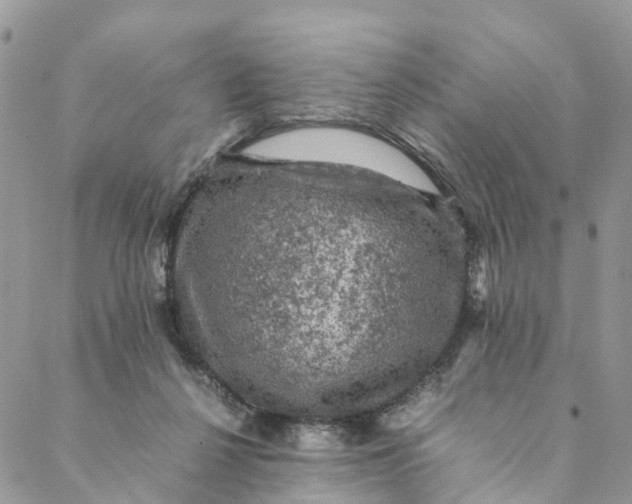 X0000088400264200706121242