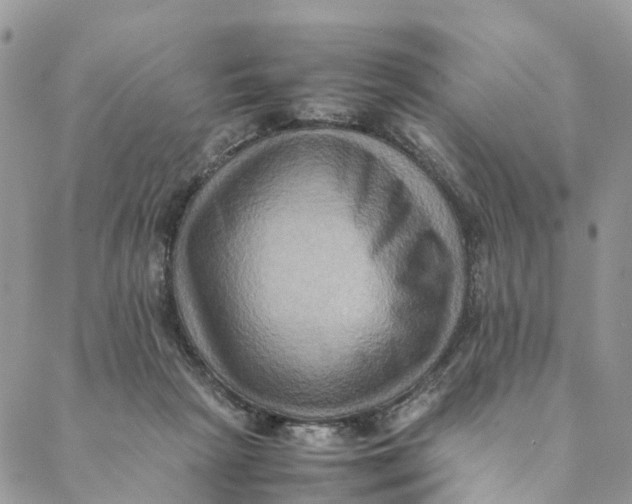 X0000088400265200706121242