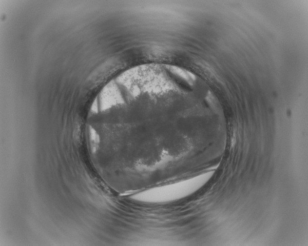 X0000088400266200706121242