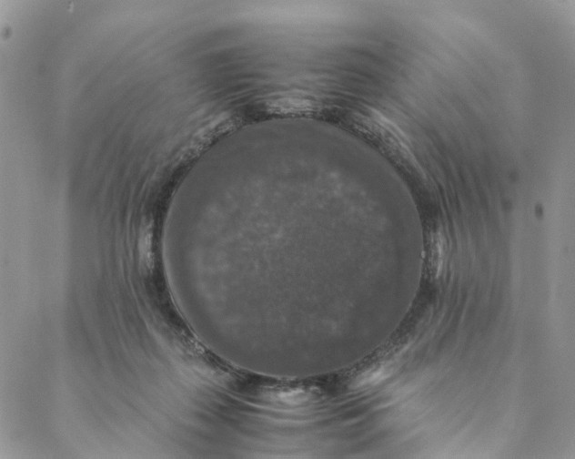 X0000088400267200706121242