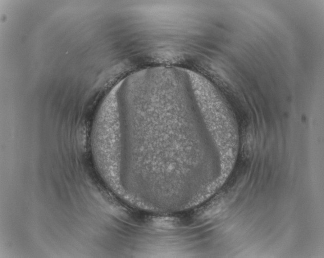 X0000088400268200706121242