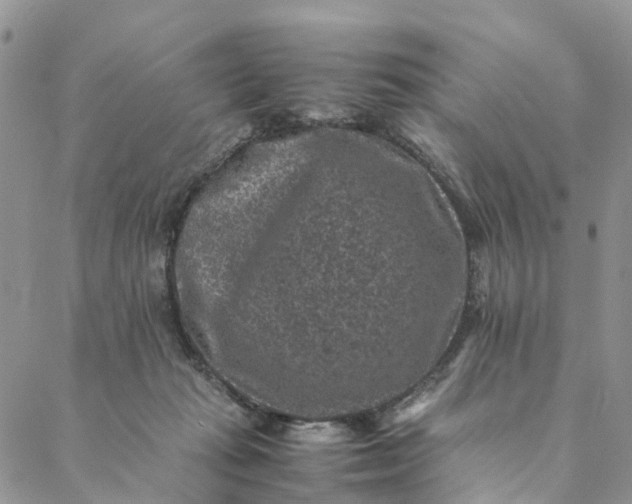 X0000088400269200706121242