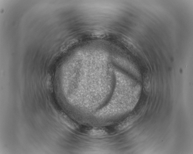 X0000088400270200706121242