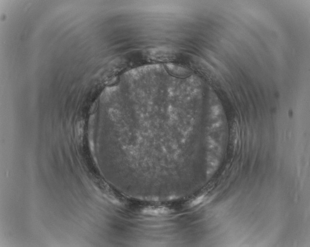 X0000088400271200706121242