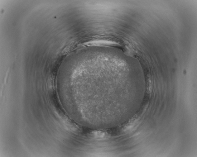 X0000088400272200706121242