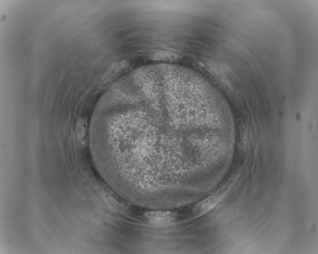 X0000088400273200706121242