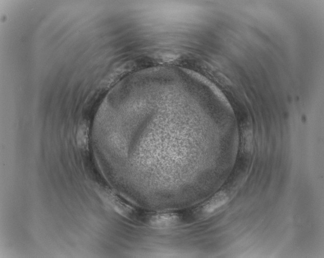 X0000088400274200706121242