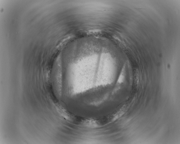 X0000088400276200706121242