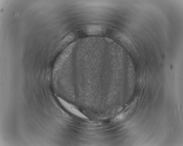 X0000088400277200706121242