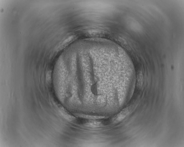 X0000088400278200706121242