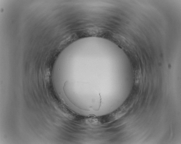 X0000088400279200706121242