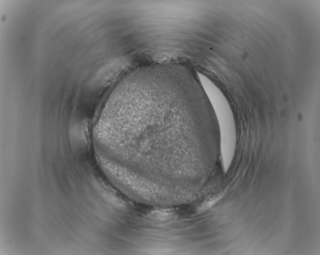 X0000088400280200706121242