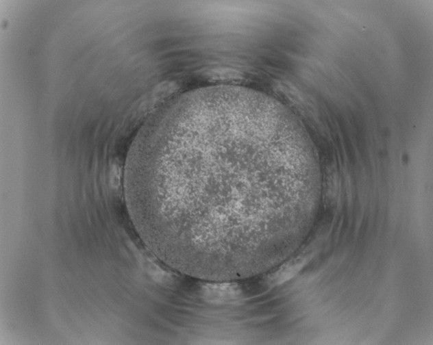 X0000088400281200706121242