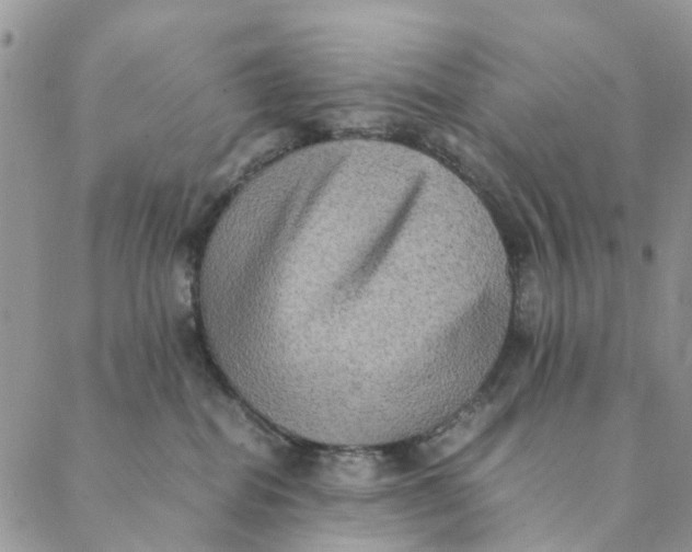 X0000088400282200706121242