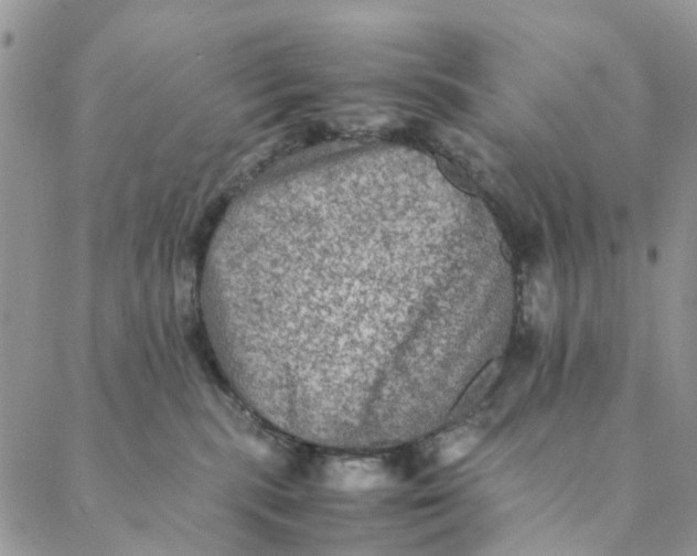 X0000088400283200706121242