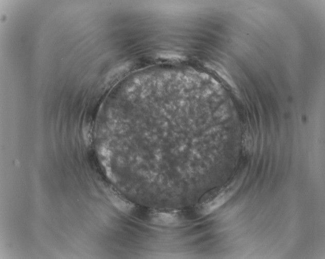 X0000088400285200706121242