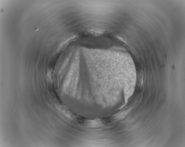 X0000088400286200706121243