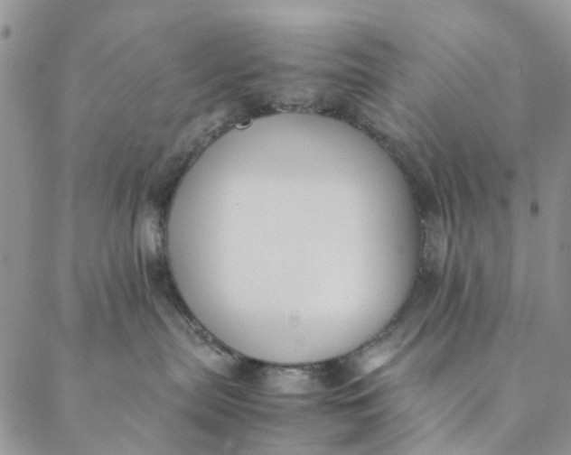 X0000088400287200706121243