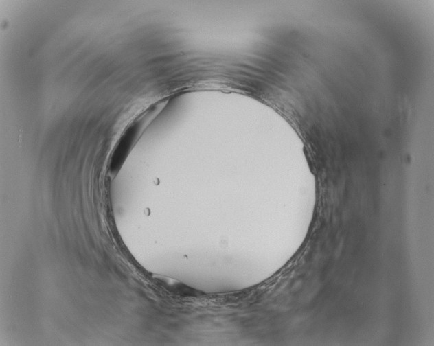 X0000088400289200706121242