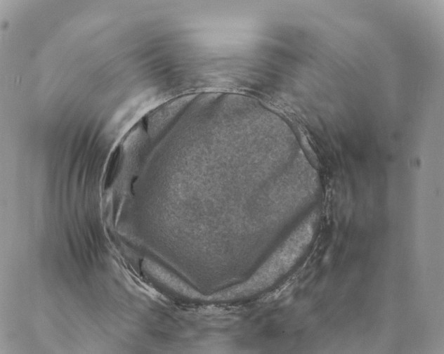 X0000088400290200706121242