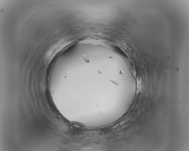 X0000088400291200706121242