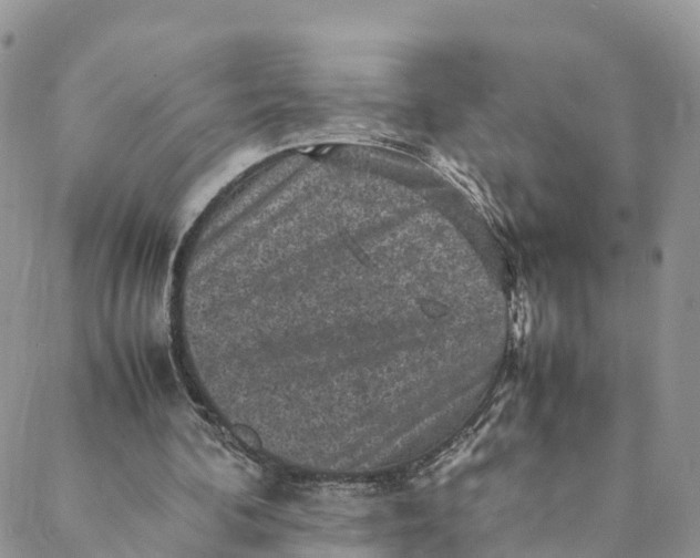 X0000088400292200706121242