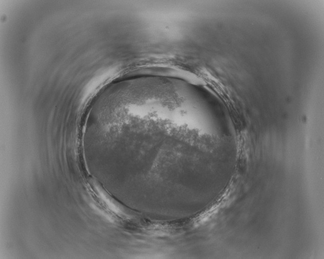 X0000088400293200706121242