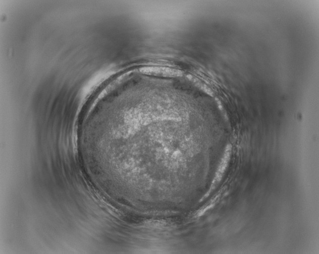 X0000088400294200706121242