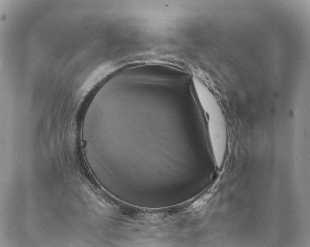 X0000088400295200706121242