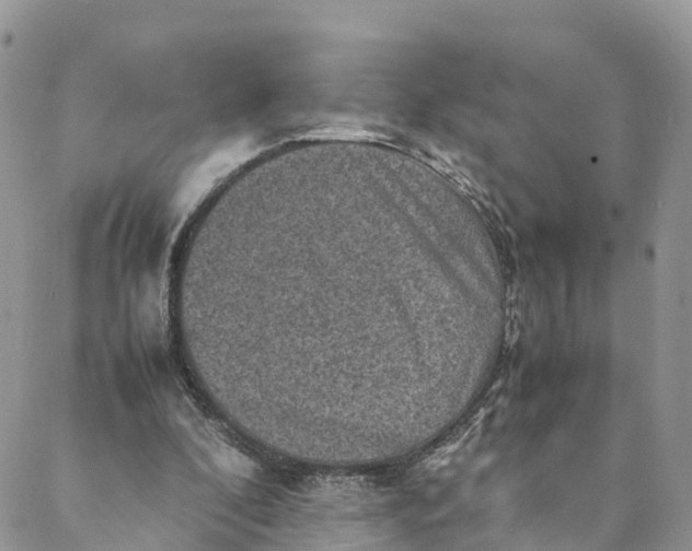 X0000088400296200706121242