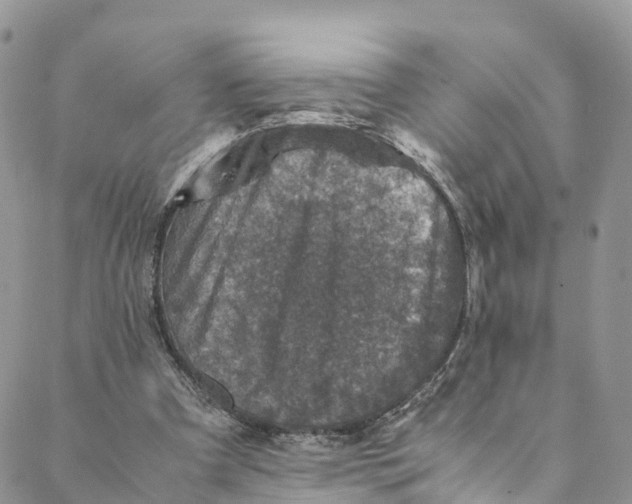 X0000088400297200706121242