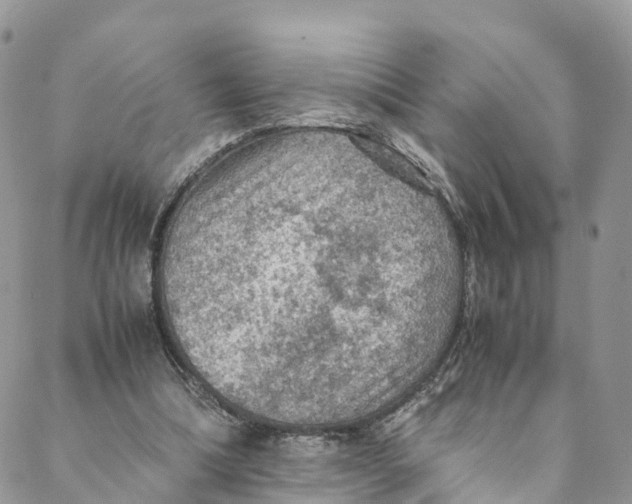 X0000088400298200706121242