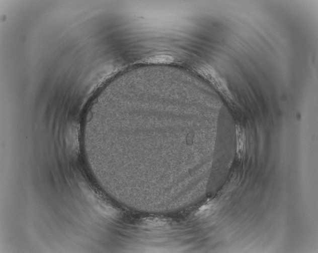 X0000088400300200706121242