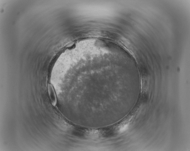 X0000088400301200706121242