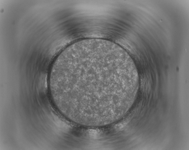 X0000088400302200706121242