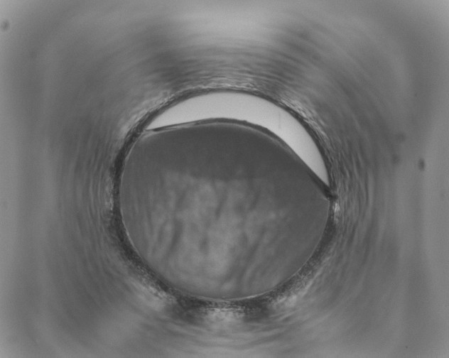 X0000088400303200706121242